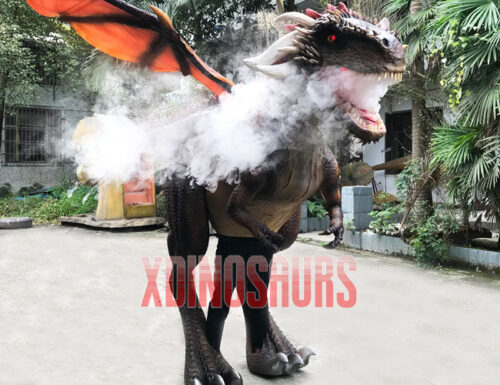 Vivid Dragon Costume