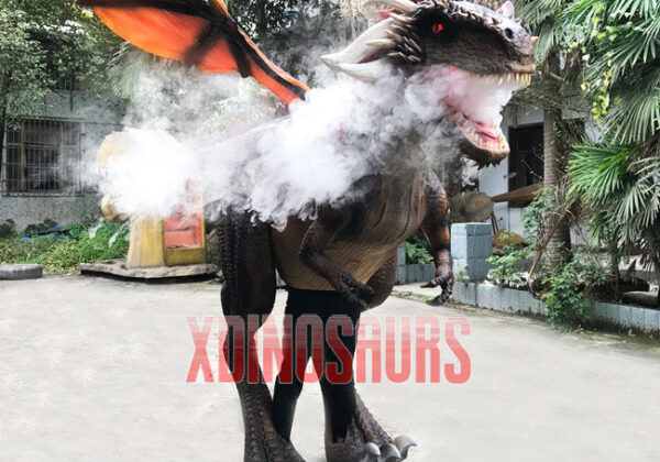 Vivid Dragon Costume