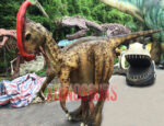 Walking Parasaurolophus Costume