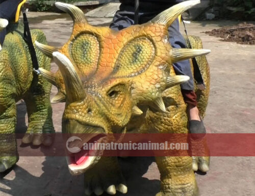 Amused Styracosaurus Ride