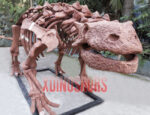 Ankylosaurus Skeleton Replica