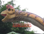 Brachiosaurus Head Model