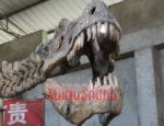 Customized Trex Skull