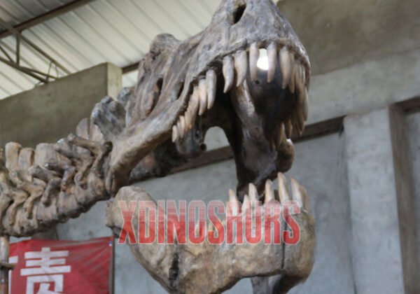 Customized Trex Skull