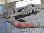 Customized Trex Skull