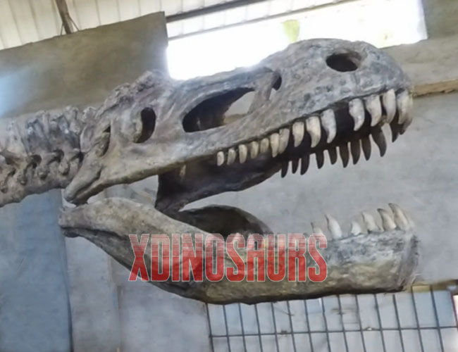 Trex Head Skull Replica