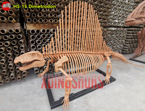 Dimetrodon Fossil Replica