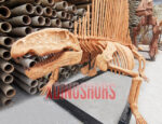 Dimetrodon Skeleton Replica