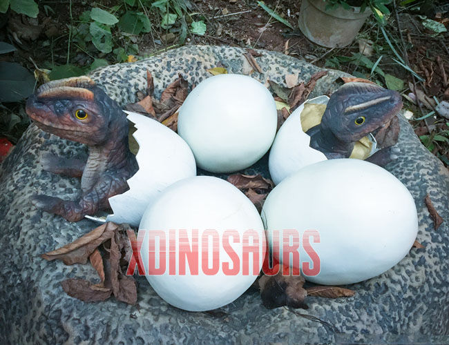 Baby Dinosaur Egg Decoration