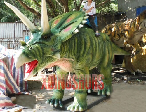 Entertainment Triceratops Ride