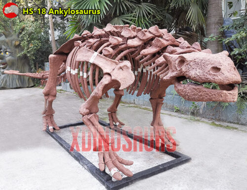 Fiberglass Ankylosaurus Fossil