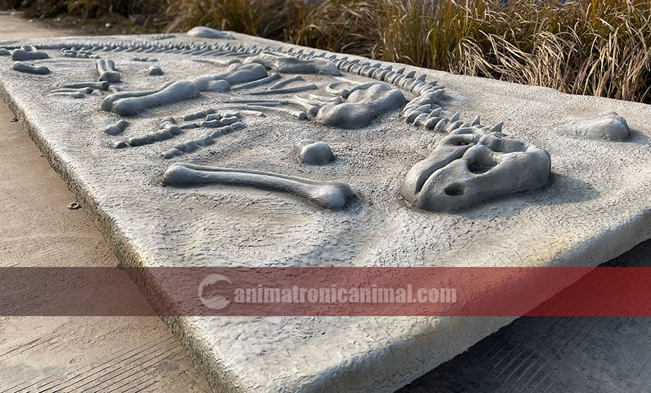 Fiberglass Dinosaur Skeletons Dig Site Decorations