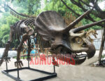 Fiberglass Made Triceratops Fossil