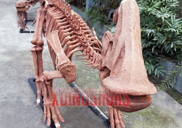 Fiberglass Parasaurolophus Fossil