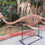 Fiberglass Plesiosaur Skeleton