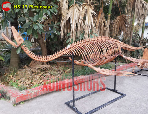 Fiberglass Plesiosaur Skeleton