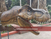 Fiberglass T-Rex Head Statue