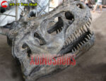 Fiberglass Trex Skull