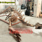 Half Stegosaurus Body Skeleton