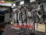 Large Trex Skeleton Statue