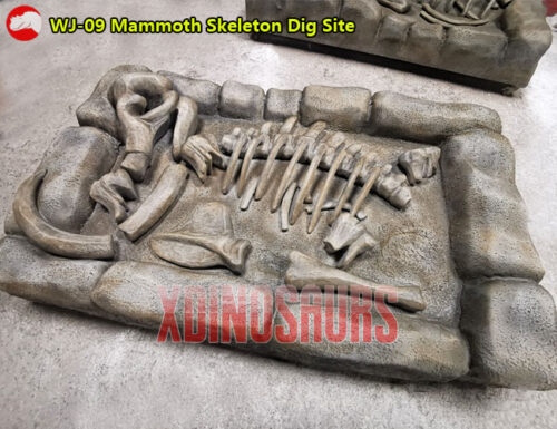 Mammoth Skeleton Dig Site