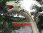 Omeisaurus Head Model