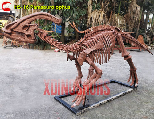 Parasaurolophus Skeleton Replica