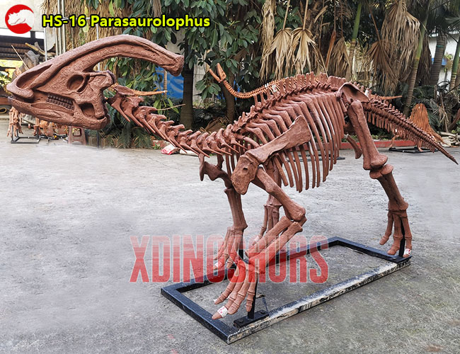 Parasaurolophus Skeleton Statue