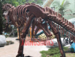 Plateosaurus Fossil Statue