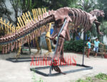 Plateosaurus Fossil Statue