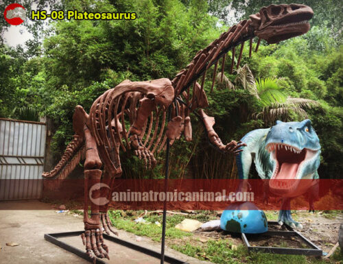 Plateosaurus Skeleton Replica