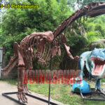 Plateosaurus Skeleton Statue