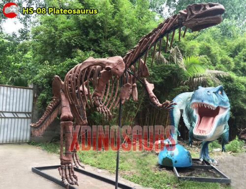 Plateosaurus Skeleton Statue