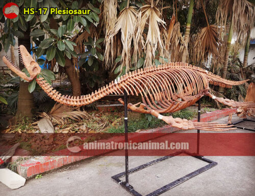 Plesiosaur Skeleton Replica