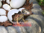 Raptor Eggnest Decoration