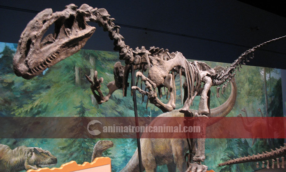Raptor Fossil Replica