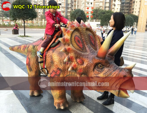 Riding Triceratops Equipment