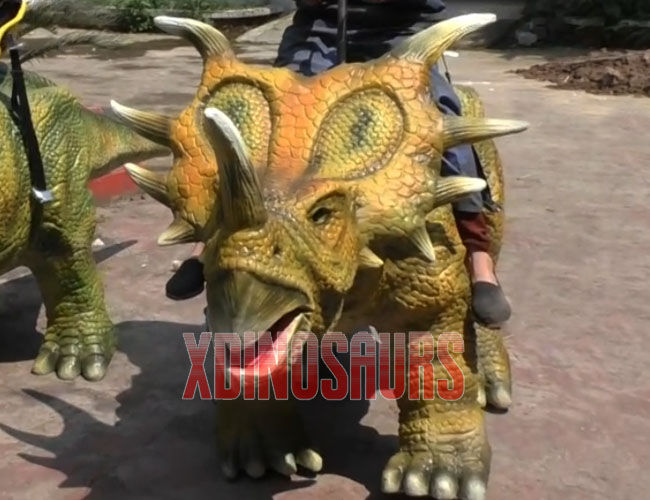 Amused Styracosaurus Ride