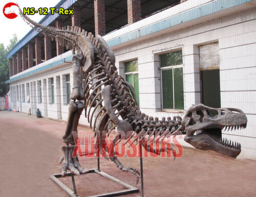 Trex Fossil Sculpture