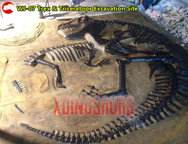 Trex & Triceratops Fossil Excavation Site