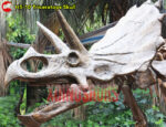 Triceratops Skull Sculpture