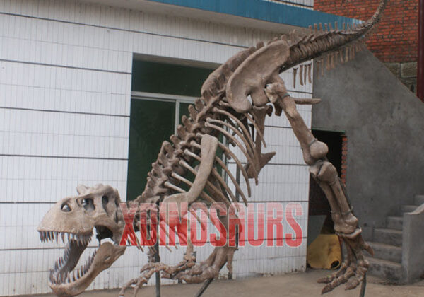 Tyrannosaurus Rex Fossil Sculpture