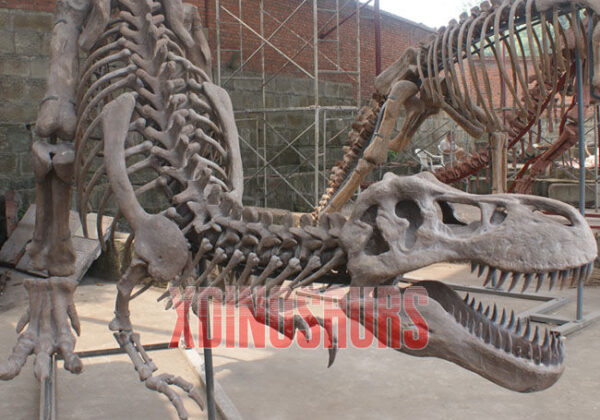 Tyrannosaurus Rex Fossil Sculpture