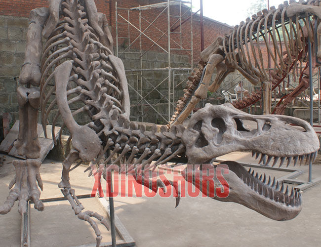 Tyrannosaurus Rex Fossil Sculpture