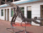 Tyrannosaurus Rex Fossil Sculpture