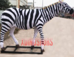 African Zebra Model