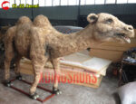 Animatronic Camel