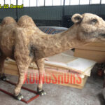 Animatronic Camel