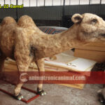 Animatronic Camel Model