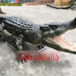 Animatronic Crocodile Model